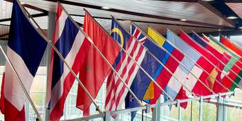 Franchise ANYTIME FITNESS : opportunités de création