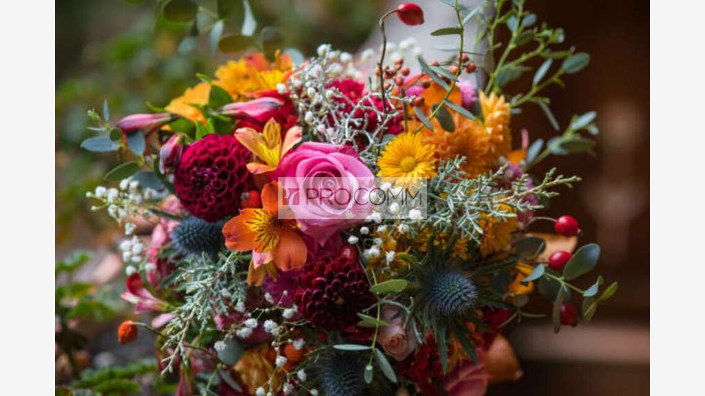 FDC fleuriste et décoration à vendre à Metz