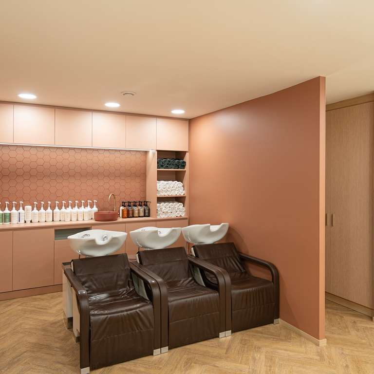 Le concept de la franchise CAMILLE ALBANE