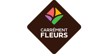 Le réseau de franchise CARRÉMENT FLEURS