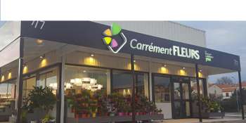 Franchise CARRÉMENT FLEURS : opportunités de reprise