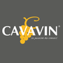 Franchise CAVAVIN