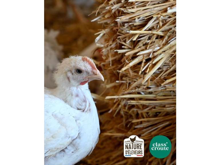 đ Chez classâcroute, le goĂ»t commence sur le terrain