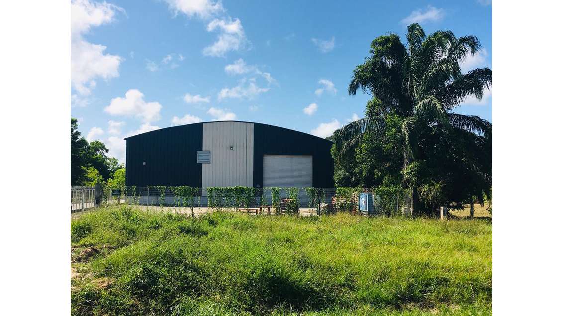 AV local d'activité 1000m² Montsinéry-Tonnegrande