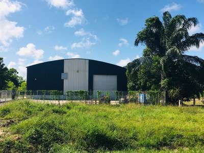 AV local d'activité 1000m² Montsinéry-Tonnegrande