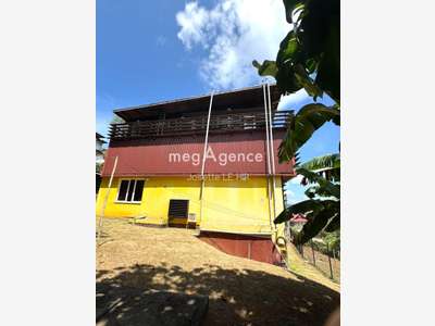 Immeuble a usage commercial et professionnel