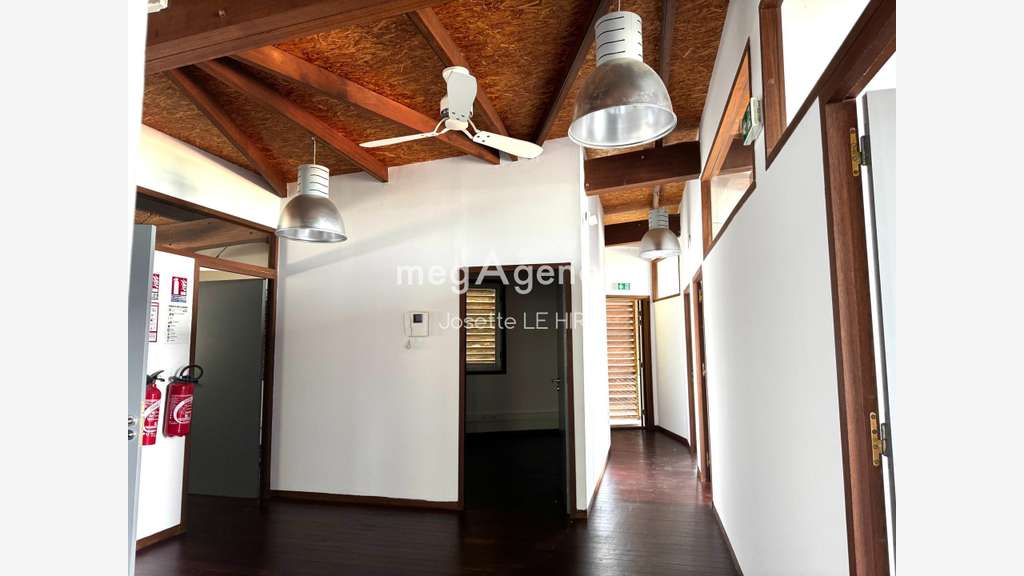 Immeuble a usage commercial et professionnel