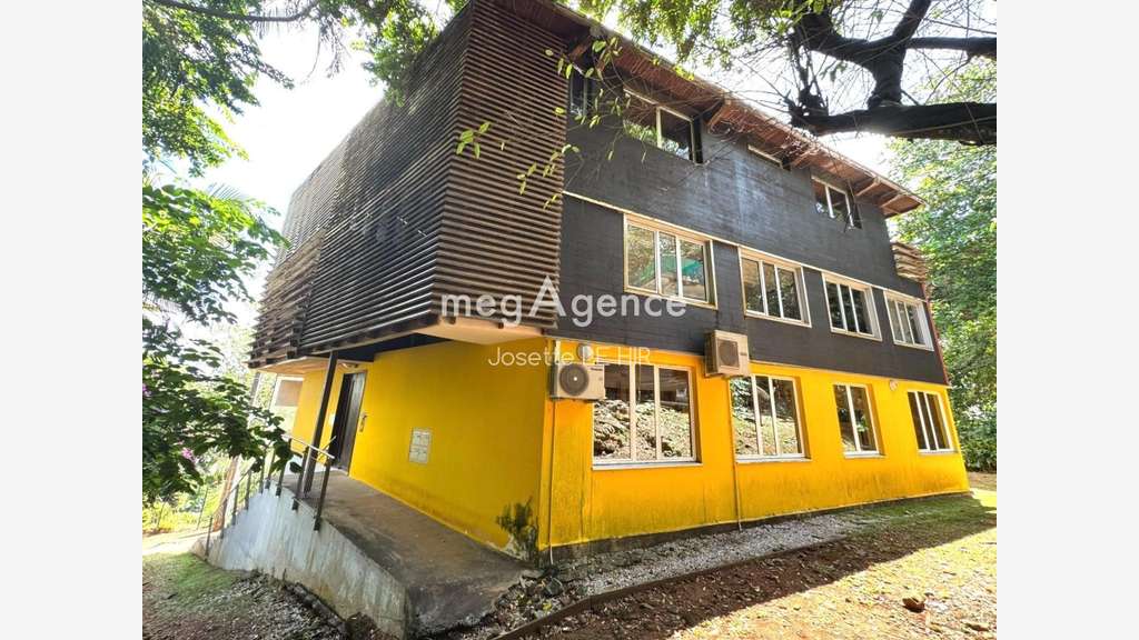 Immeuble a usage commercial et professionnel