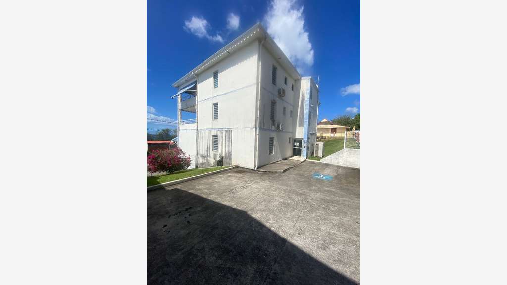 Bureaux + caves + box 240 m2, Fort de France, en