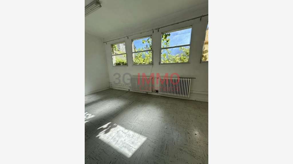 Vente ens immo de 346m² à Saint-Dizier prox centre