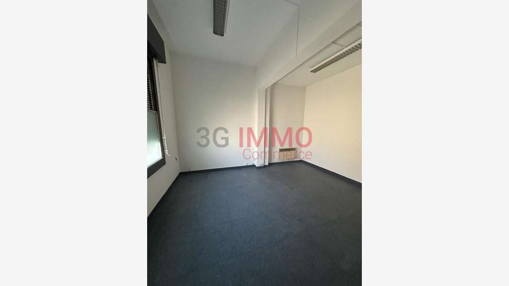 Vente ens immo de 346m² à Saint-Dizier prox centre