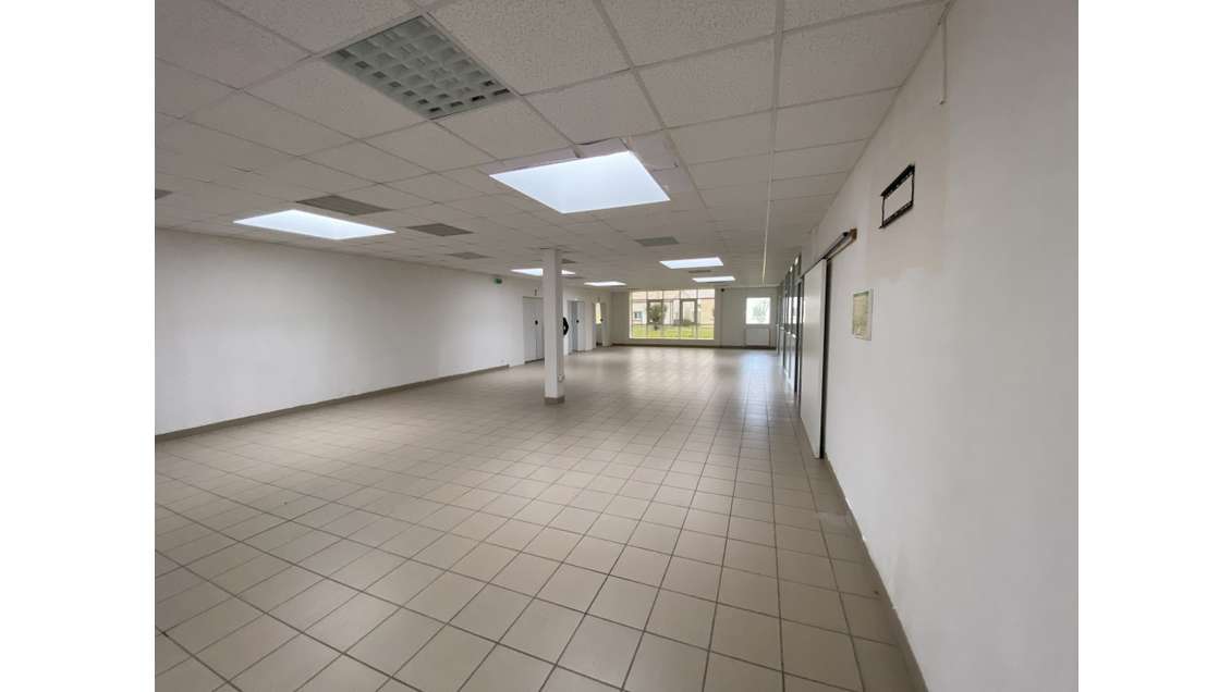 Local professionnel 405m2