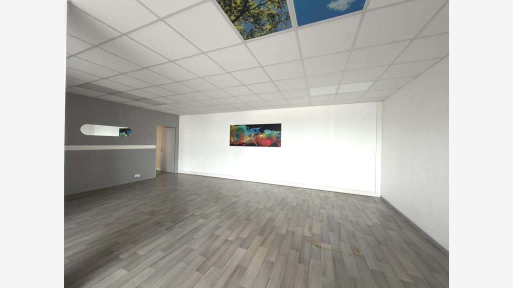 Cède ensemble professionnel 760m² Clermont Ferrand