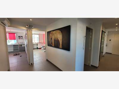 Local professionnel 120m² RDC Ouest Toulouse