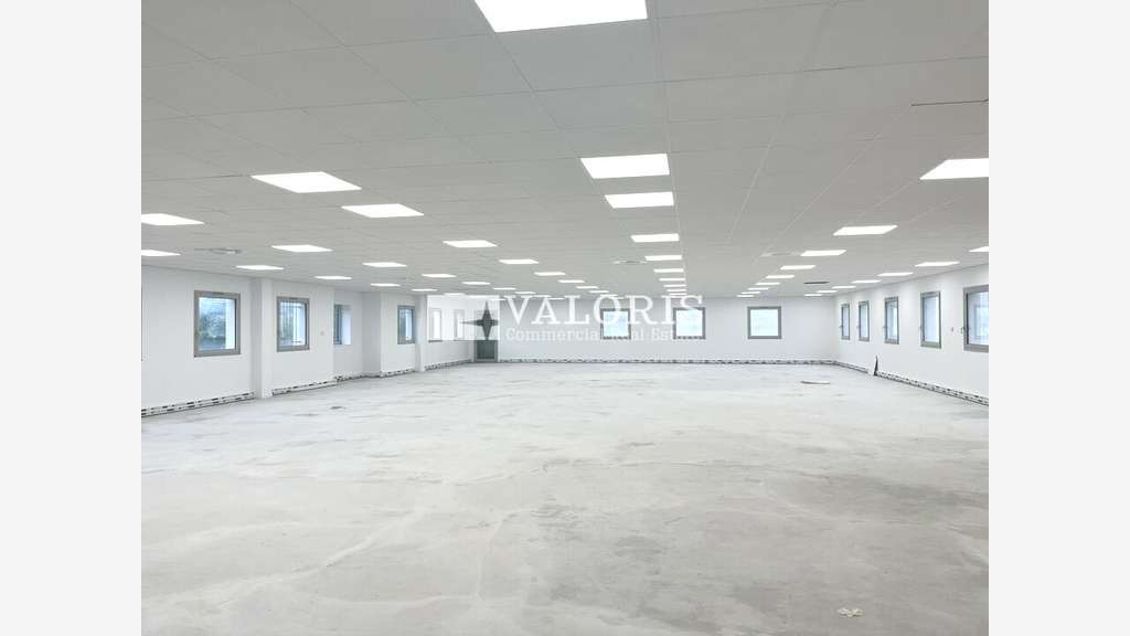 Bureaux rénovés 326m² à vendre zone Mi-Plaine