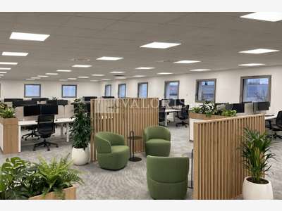 Bureaux rénovés 326m² à vendre zone Mi-Plaine
