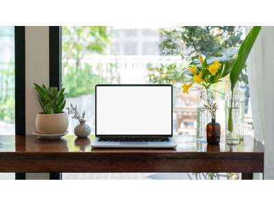 Vente Bureaux à Vannes