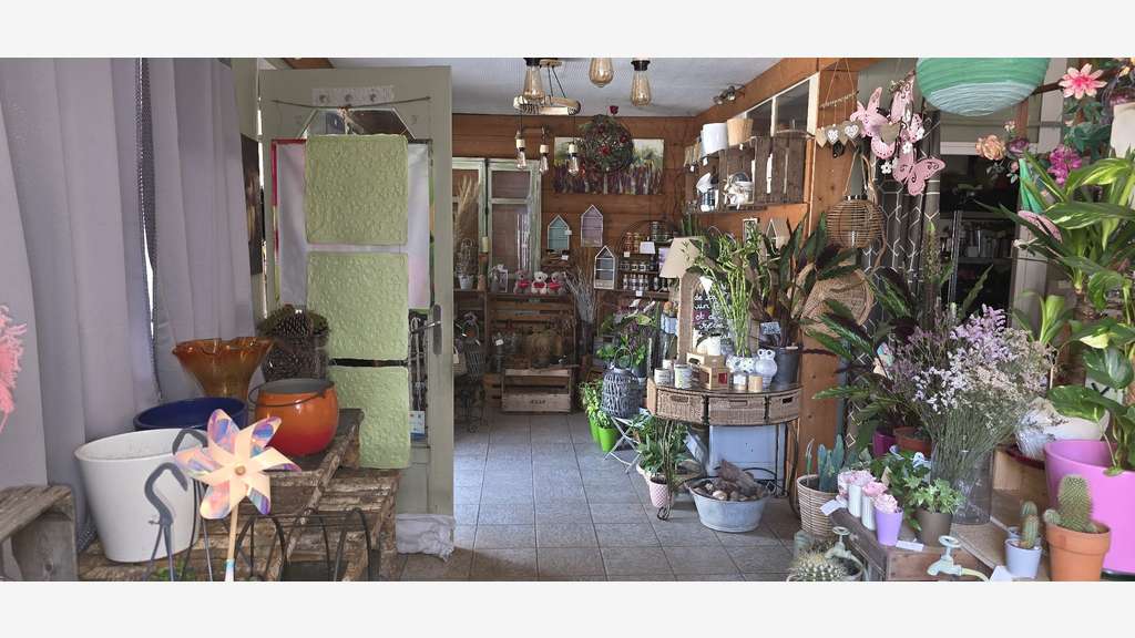 AV murs fonds de commerce 30m² centre ville Cluis