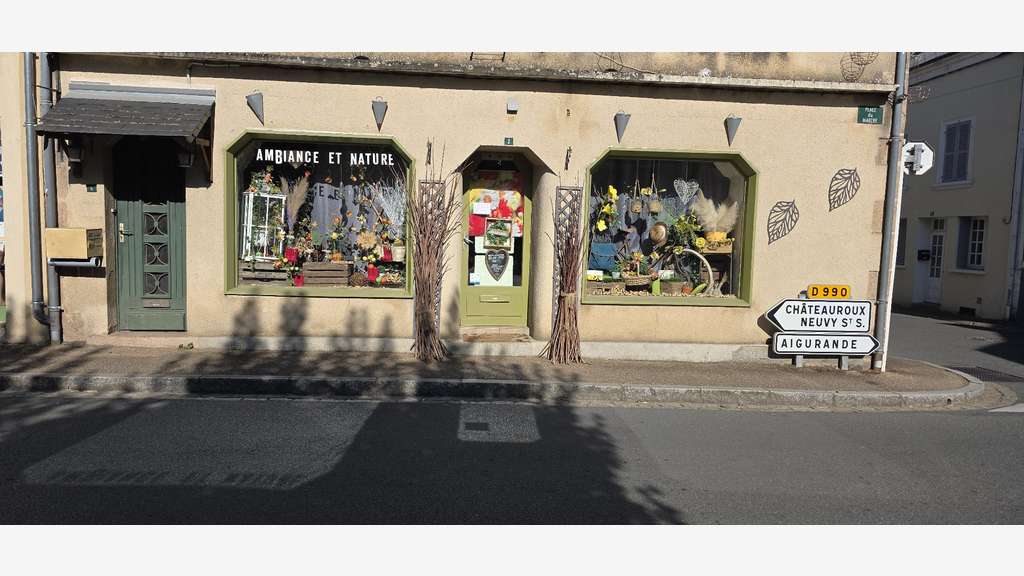 AV murs fonds de commerce 30m² centre ville Cluis