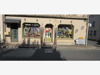 AV murs fonds de commerce 30m² centre ville Cluis