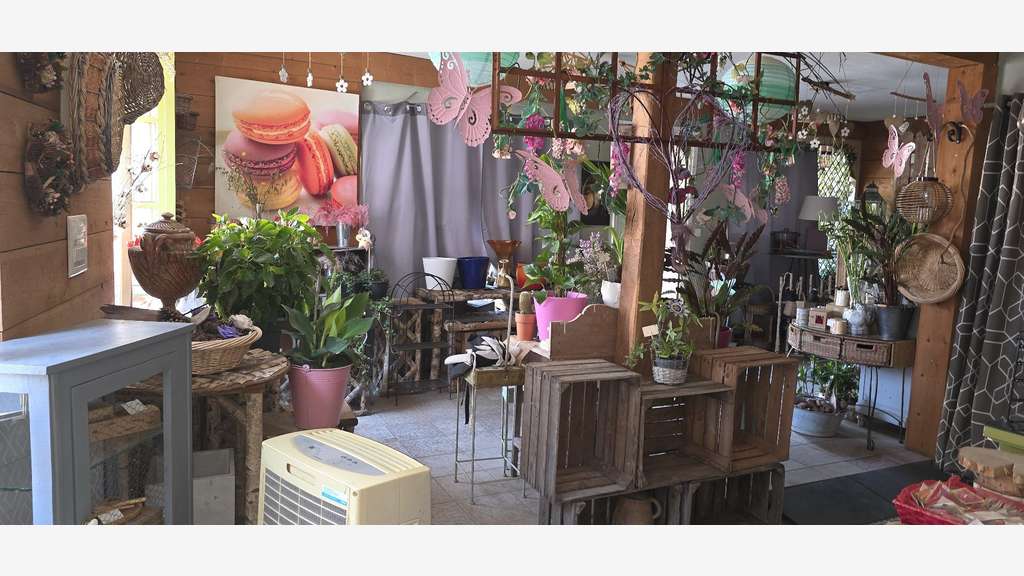 AV murs fonds de commerce 30m² centre ville Cluis