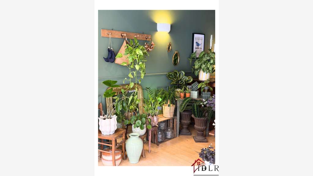 Vente FDC fleuriste de charme axe passant à Hyères