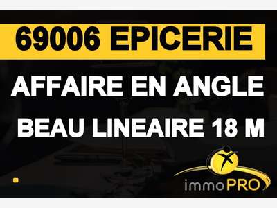 AV magnifique commerce d'angle 69006