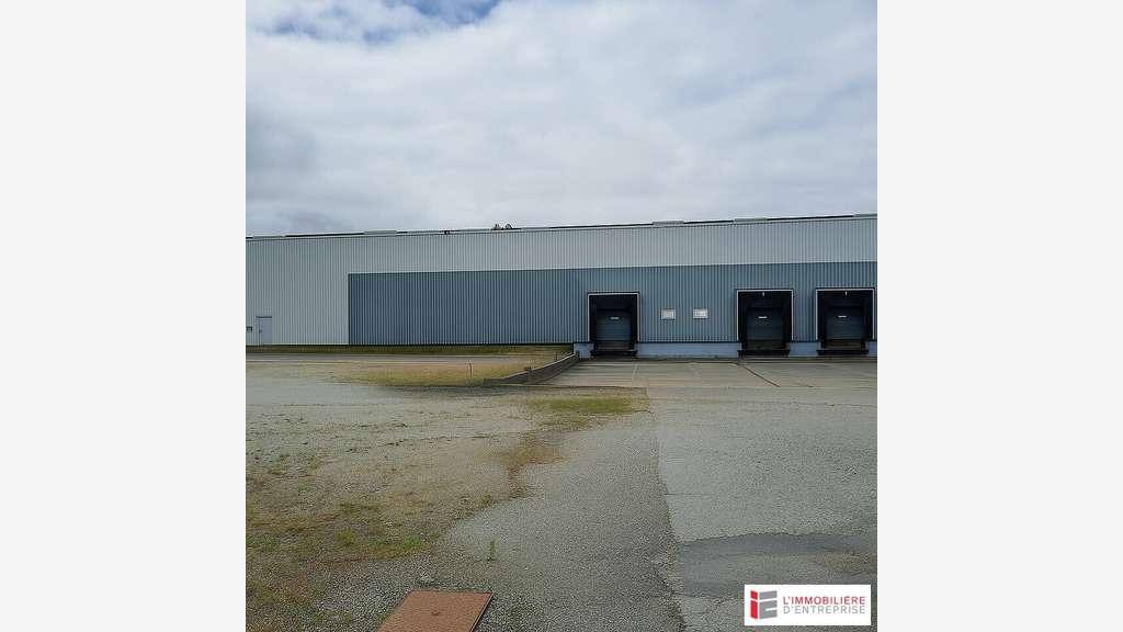 Vente entrepôt 9546m² à Janzé