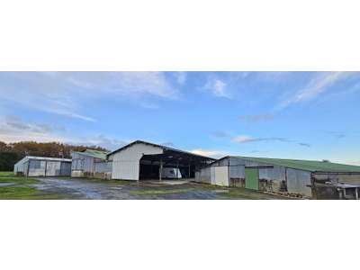 Vente Locaux d'activités - Entrepôts aux Brouzils