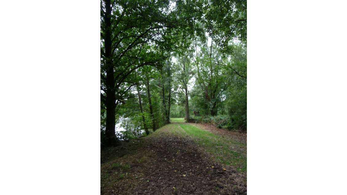 Vente site de 18ha à Plomion