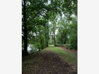 Vente site de 18ha à Plomion