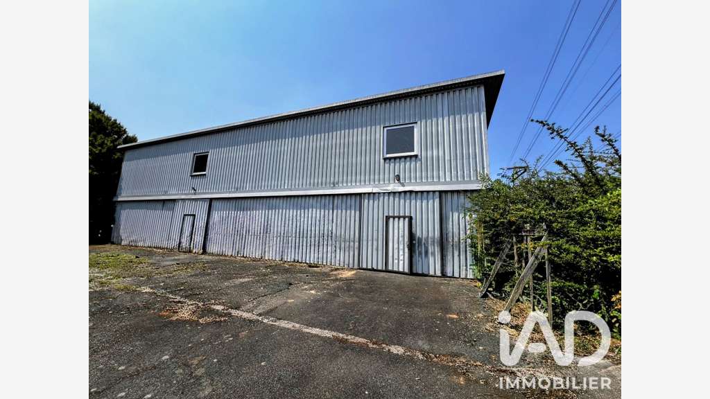 Vente local professionnel de 162m² en zi à Avoine