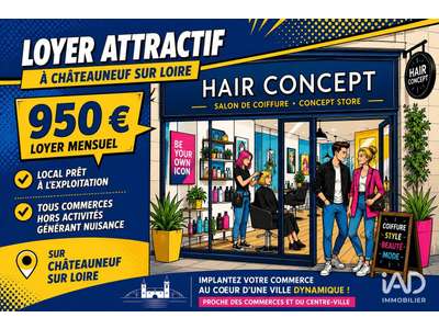Vente Locaux commerciaux - Boutiques à Châteauneuf-sur-Loire