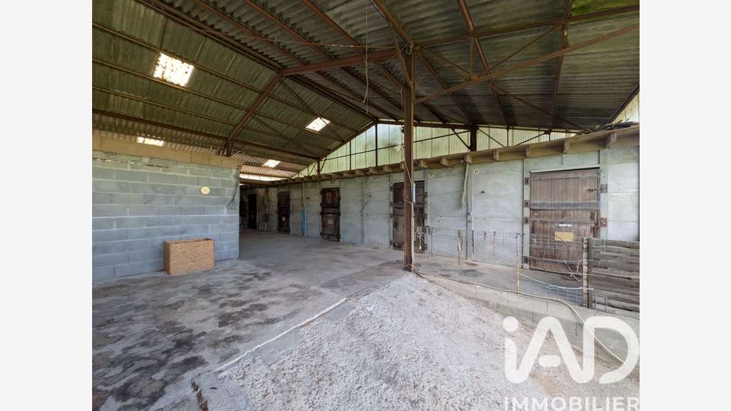 Vente hangar 500m² Savigny-en-Véron quartier calme