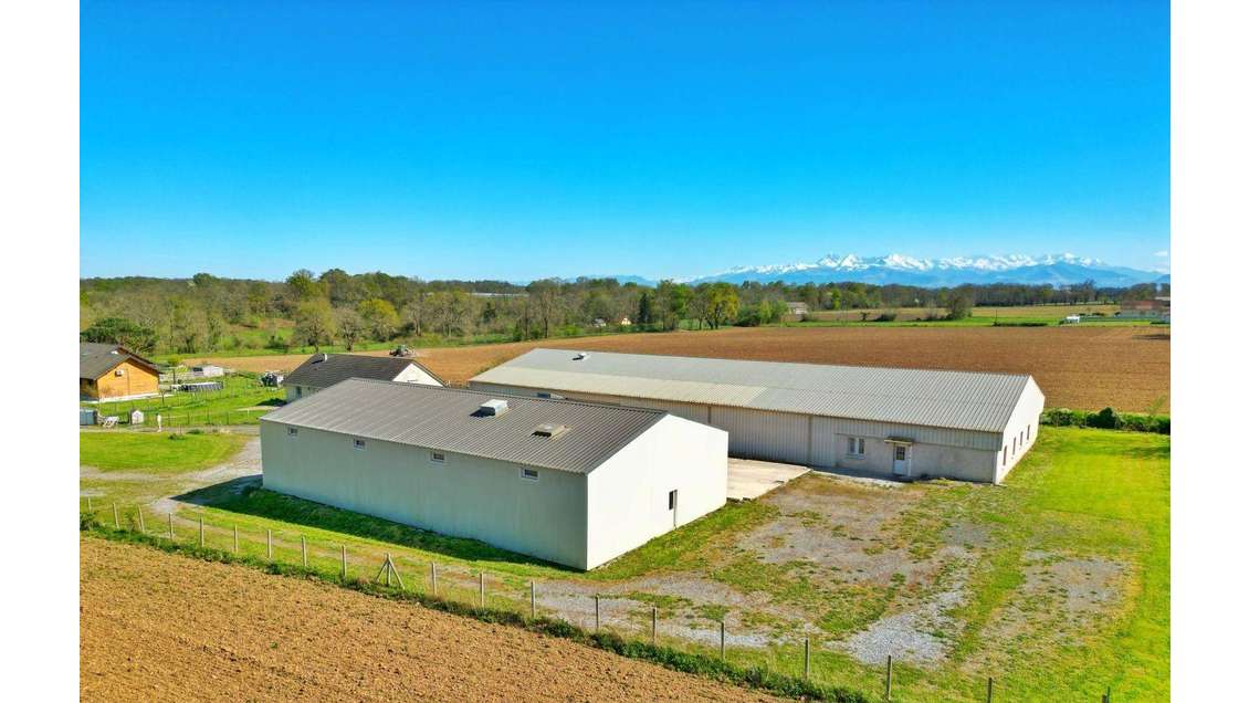 Vente ensemble de 2 entrepôts 1 234m² à Luquet