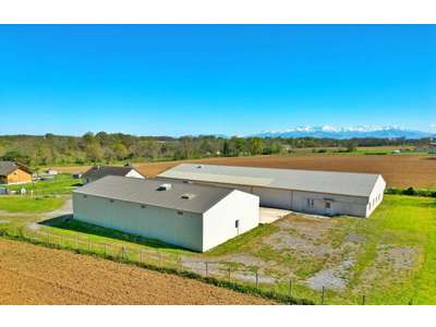 Vente Locaux d'activités - Entrepôts à Luquet