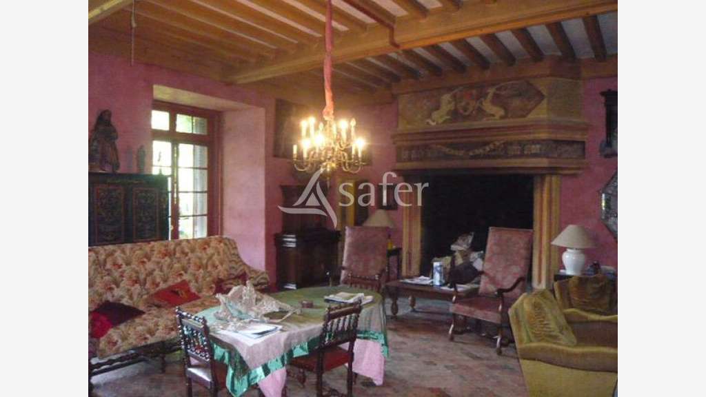 Cède superbe Château IMSH sur parc 2.7 ha à Thiers
