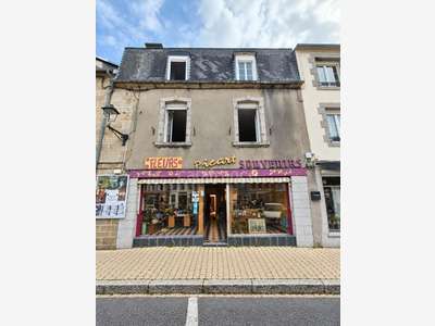 HUELOOGAT - IMMEUBLE , LOGEMENTS ET FORT POTENTIEL