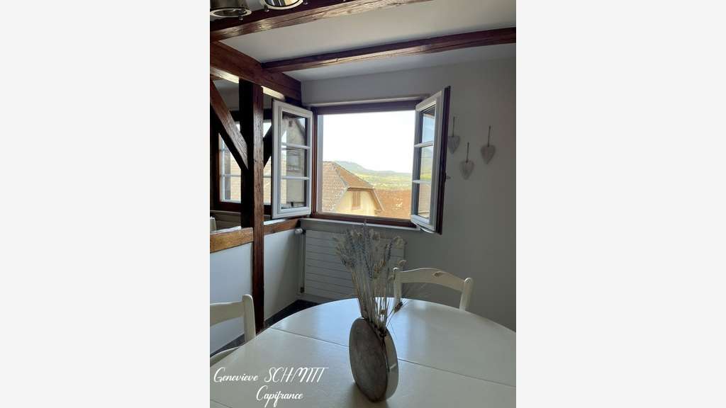 à vendre ZELLENBERG immeuble 197 m²