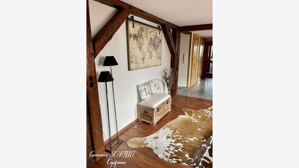 à vendre ZELLENBERG immeuble 197 m²