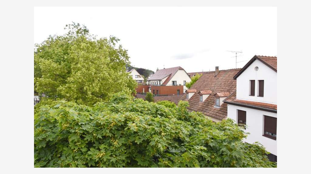 Immeuble mixte à vendre quartier très animé Barr 