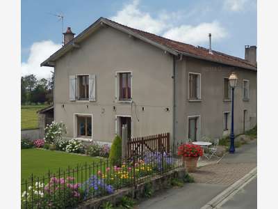 MAISON / IMMEUBLE à vendre Secteur CHATENOIS (88)