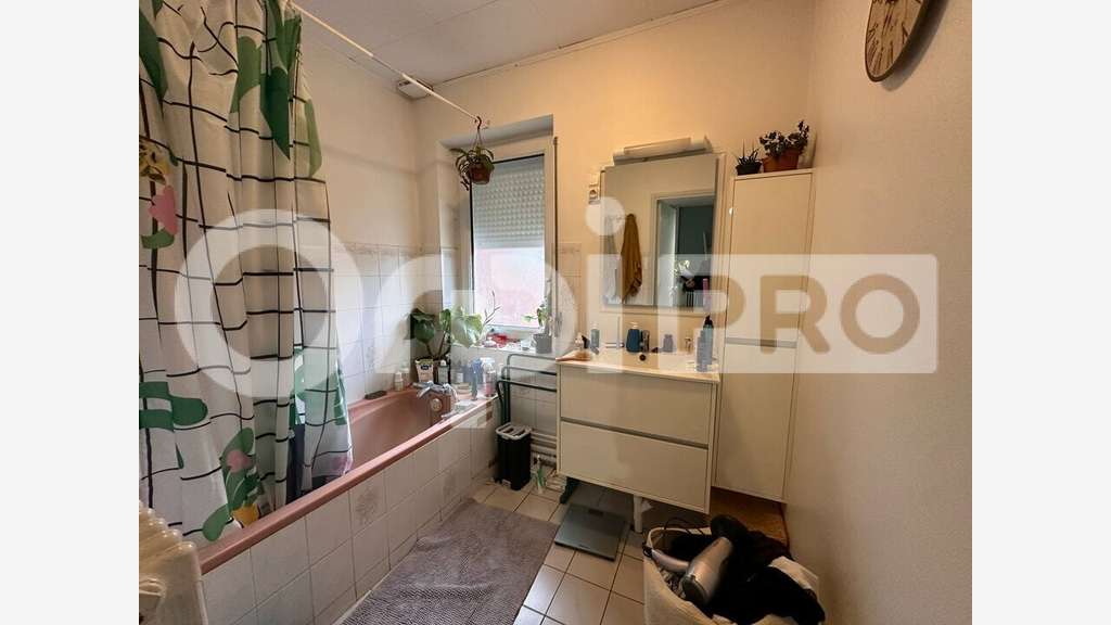 Vente habitation et local commercial à Dainville