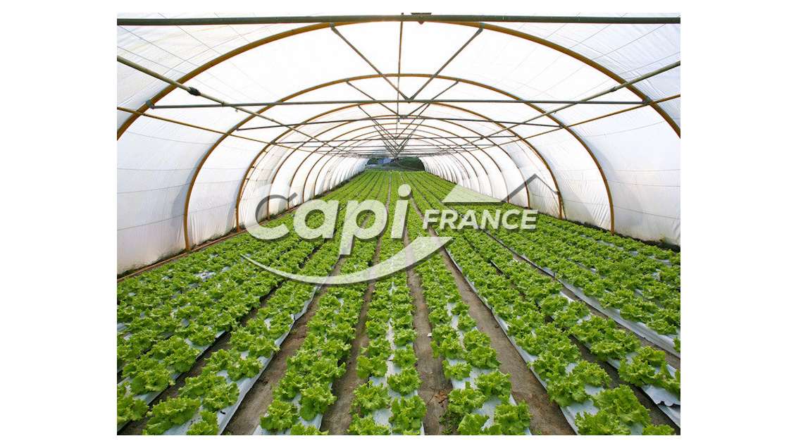 Ensemble agricole avec maison d'habitation