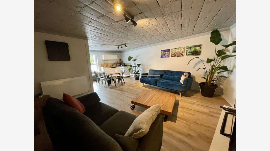 Ensemble immobilier 370 m² au total + hangar +