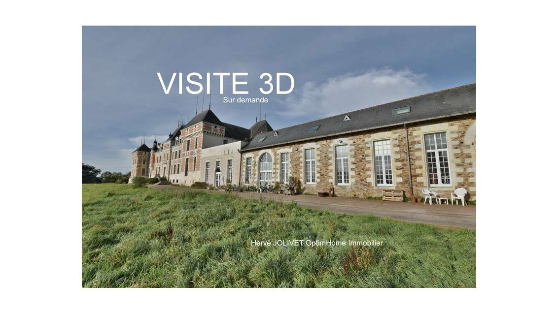 Vente appartements + bureaux dépendances château