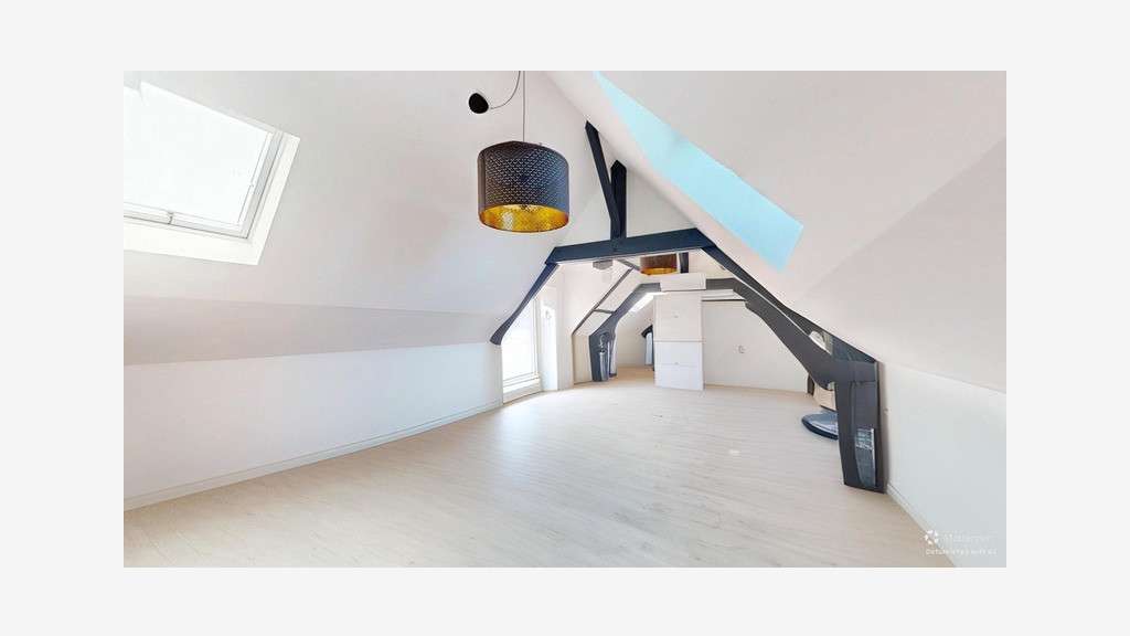 Vente appartements + bureaux dépendances château