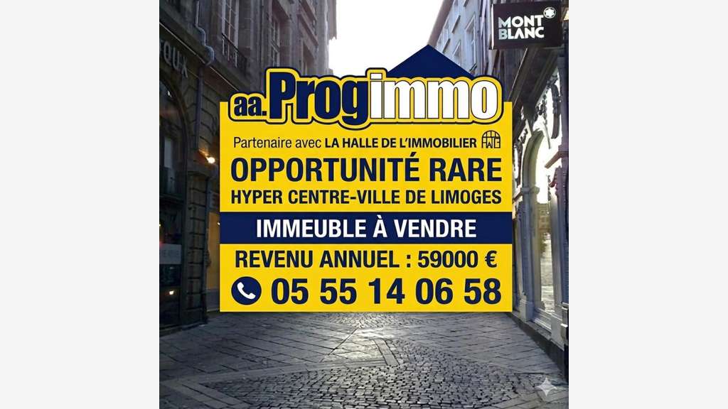 Vente Immeuble de 312m² à Limoges centre