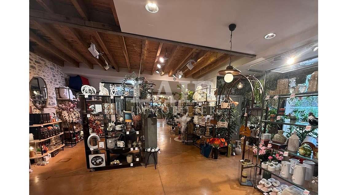 A vendre très bel  immeuble à Mayenne