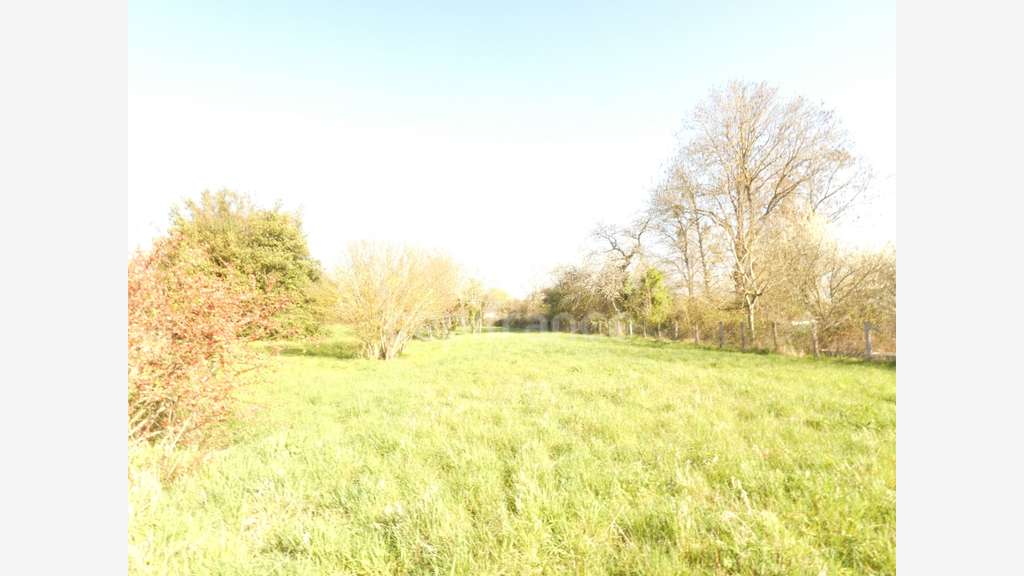 Immeuble de 294m² à vendre à Pierre de Bresse (71)